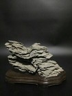 20007 natural Chinese Suiseki Bonsai Ying Stone--chinese Art Stone
