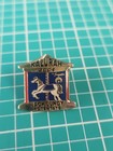 Freemason Masonic Shriner Kalurah Temple 2004 Gold Tone Lapel Pin