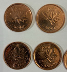 Lot  13 Au bu Canada Pennies Magnetic non-magnetic  2001-2012--read   See Photos