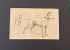 Bull Terrier  duo   Matted   Framed   Ready To Gift - 1950 Vintage Dog Art Print