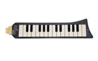 Hohner Melodica Piano 26 With Case  read Description 
