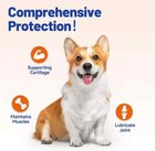 Dog Hip And Joint Soft Chew Supplement  Msm  Vitamins C   E  120 Chews  Freeship
