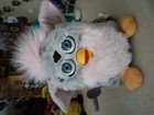 8 Not Working Spanish Furbies