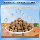 Freeze Dried Brine Shrimp Cubes - 100  Brine Shrimp Fish Food For All Tropica   