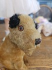 1920 s Steiff 6 1 2  Mohair Strupp Terrier Dog W Ff Button