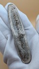 Lan Xang Kingdom Tiger Tongue Silver Bar Money 17th Century Laos Siam Silver 
