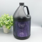 Wen Bella Spirit Indigo Toning Cleansing Conditioner Gallon New Not Sealed