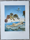 Salvador Dali Dream Caused By The Flight   Hand Numbered Plate Signed Lithograph