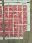 Lot Of  99  Uruguay 1910 Early Revolution Anniversary 2c Stamp   25 Stamp Pages