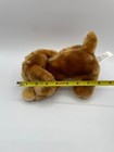 Animal Alley Darby Dog Plush Small 8    Brown Tan Stuffed Animal Hound Toys R Us