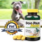 Dog Pain Away - Pain Reliever - Treats Arthritis And Joint Pain And Increases