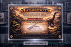 Screen-used Brachiosaurus Hide Fragment     Jurassic Park Movie Prop Display     Coa