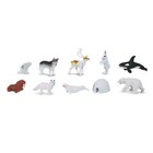 Arctic Toob Mini Figures Safari Ltd New Toys Educational Nature Collectibles