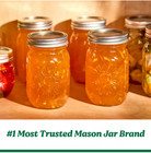 New Ball Sunshine Regular Mouth 16-oz  Pint Canning Mason Jar And Lid  4 Pck