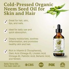 Organic Cold-pressed Neem Seed Oil 100  Pure Skin Hair Treatment Moisturizer