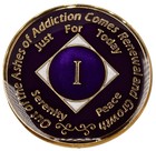 Purple And Silver Na Medallion  Narcotics Anonymous Recovery Coin  1-45