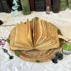 400 Pages - Grimoire Fox Leather Journal Blank Spell Book Of Shadows Fat Journal