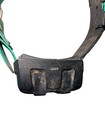 Garmin Dc50 Dog Gps Tracking Collar For Astro 320 Alpha 100