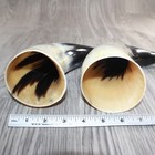 2 Large Polished Cow Horns  568    Natural Colored