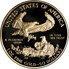 American Gold Eagle Proof 1 Oz  50 - Coin In Capsule - Random Date