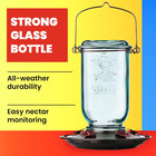 Mason Jar Hummingbird Feeder  Glass Hummingbird Feeders For Outdoors  5 Feeding