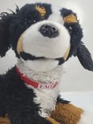 Rare Fao Schwarz 20 Inch Plush Bernese Mountain Dog - 2012 Toys R Us 