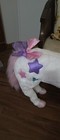 Melissa   Doug Giant Plush Unicorn 37    Tall White W pink Purple Blue Stars