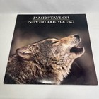 Vintage James Taylor Records X2 Never Die Young Greatest Hits 12  Lp 1980s Rock