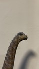 3d Printed Brachiosaurus Figure 1 35 Scale 19  Long Hand Painted Dinosaur Model
