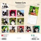 Tuxedo Cats   2026 12x24   hanging  Monthly Square Wall Calendar   Plastic-free