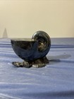 Elkington   Co  Victorian Electroplated Silver Nautilus Shell Spoon Warmer  1881