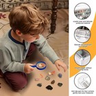 Rock Collection Box For Kids - Display Case Collectibles - Storage White 
