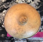Clean Dry Gourd For Crafting  6 5   diameter  8   high  23   circumference