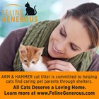 Arm   Hammer Clump   Seal Slide Multi-cat Clumping Litter  38 Lbs