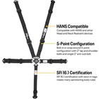 Speedway Motors 2-inch  Black  5-point Cam Lock Belts