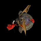 Japanese Samurai Kabuto Helmet Dragon Gold Purple Iron Antique Unwearable