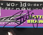 Sting Signed Battling Brawlers Book Nwo Wcw Wrestling Wrestler Autograph Jsa Coa