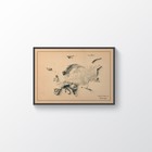 Europe Map  Europe 2d Relief Map  Europe Vintage Map - 2d Flat Print