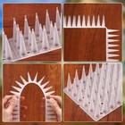 12 Pack Bird Spikes  Plastic Fence Spikes For Small Birds Pigeon Squirrel Raccoo