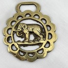 Brass Horse Medallion Antique English Elephant Zoo Tusk Animal Parade Harness