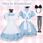 Alice In Wonderland Dress Costume Waitress Uniform Maid Blue Halloween Cosplay