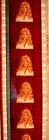 35mm Feature Film  The Erotic Adventures Of Pinocchio