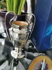Uefa Champions League Cup  100mm 