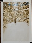 Rare Old Vintage Photo Snow Walker Skiing Ski Mountains  3 1939