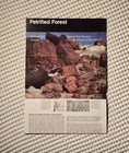 Petrified Forest National Park Map Brochure 1980s