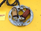 Suzuki Lt 125 Quadrunner Alt 125 Ignition Stator Generator 32101-24310 1983-1987