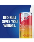 12 Pack Red Bull Winter Edition Energy Drink  Fuji Apple   Ginger  12oz Cans