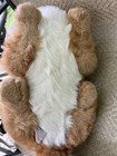 Vtg  1985 Avanti Applause And Jockline Plush Sleeping Tabby Cat  Korea