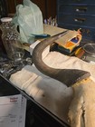 Horned Buffalo Skull Cap