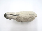 Vintage Cast Iron Sheep Coin Still Bank 3 5  X 5 